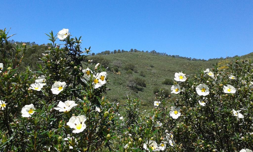 Monte Da Vilarinha Carrapateira Luaran gambar